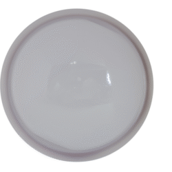 Hot Spring Spas / Tiger River Light Lens