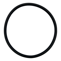 Astral/Hurlcon Pump Lid O'ring